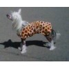 Chinese Crested  Printed Double Fleece dog coat